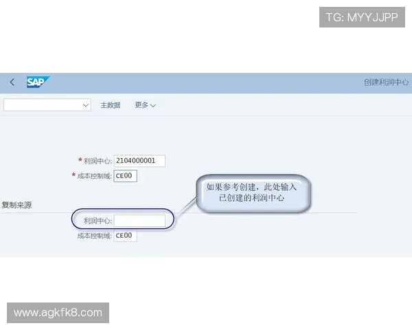 深入探讨凯发网址登录过程中的常见问题和解决方案