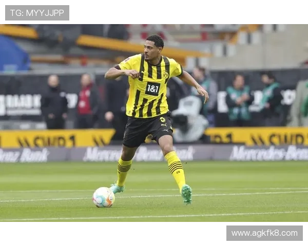 k8凯发国际最新玩法攻略助你轻松掌握游戏技巧提升战斗力