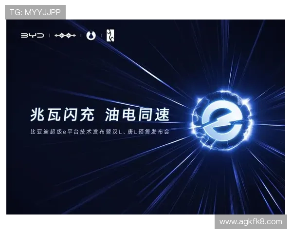 K8凯发网址娱乐平台的多平台支持，支持手机、平板和PC多设备无缝切换体验